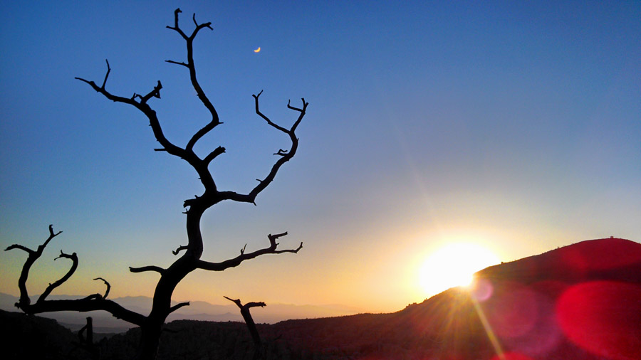 MZTA - Mile Zero Trail Association