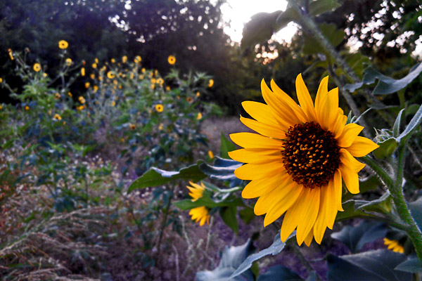 The long season for hiking on the trail